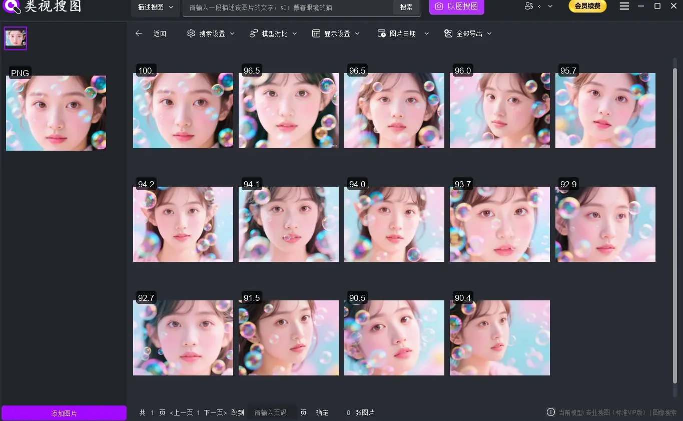 类视搜图软件主界面:简洁直观的操作界面